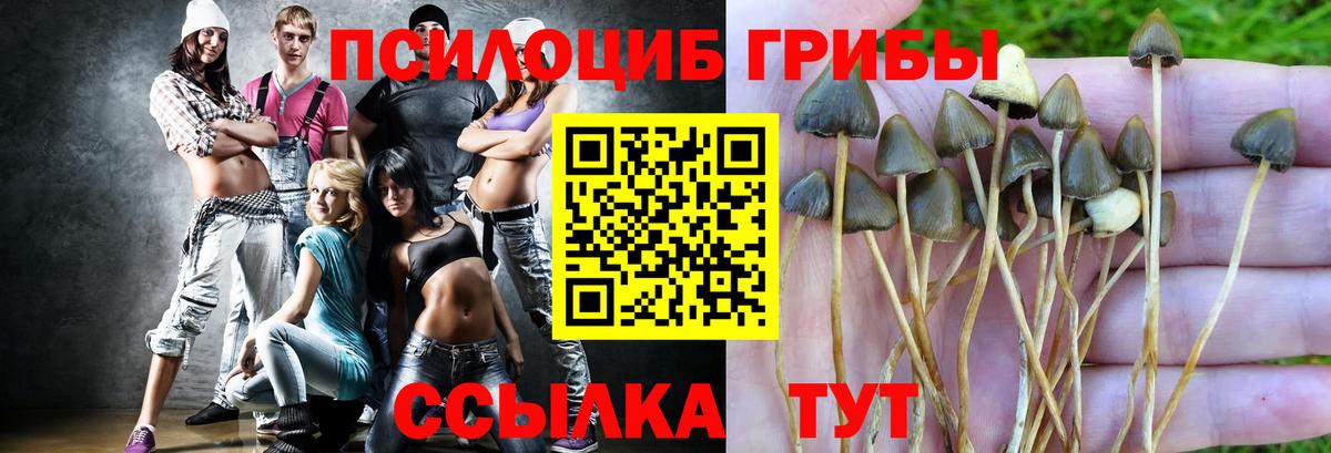 Первоуральск  Псилоцибиновые грибы MAGIC MUSHROOMS  Вход с VPN 